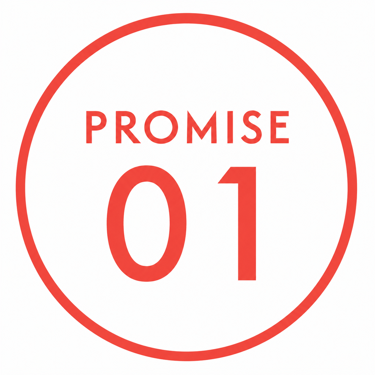 Promise01