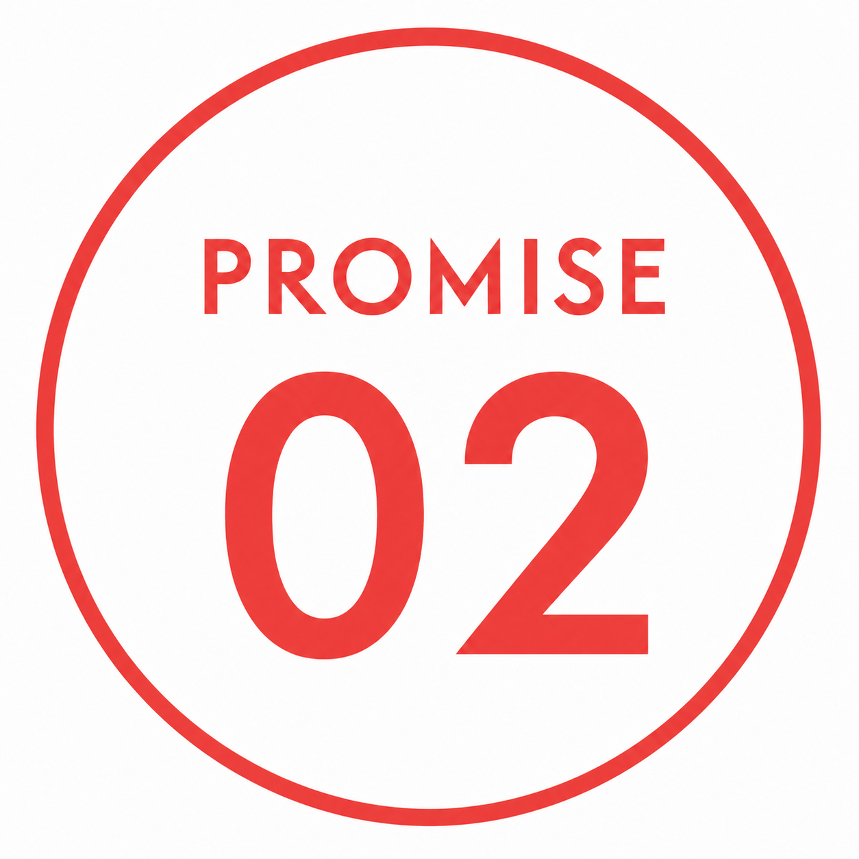 Promise02