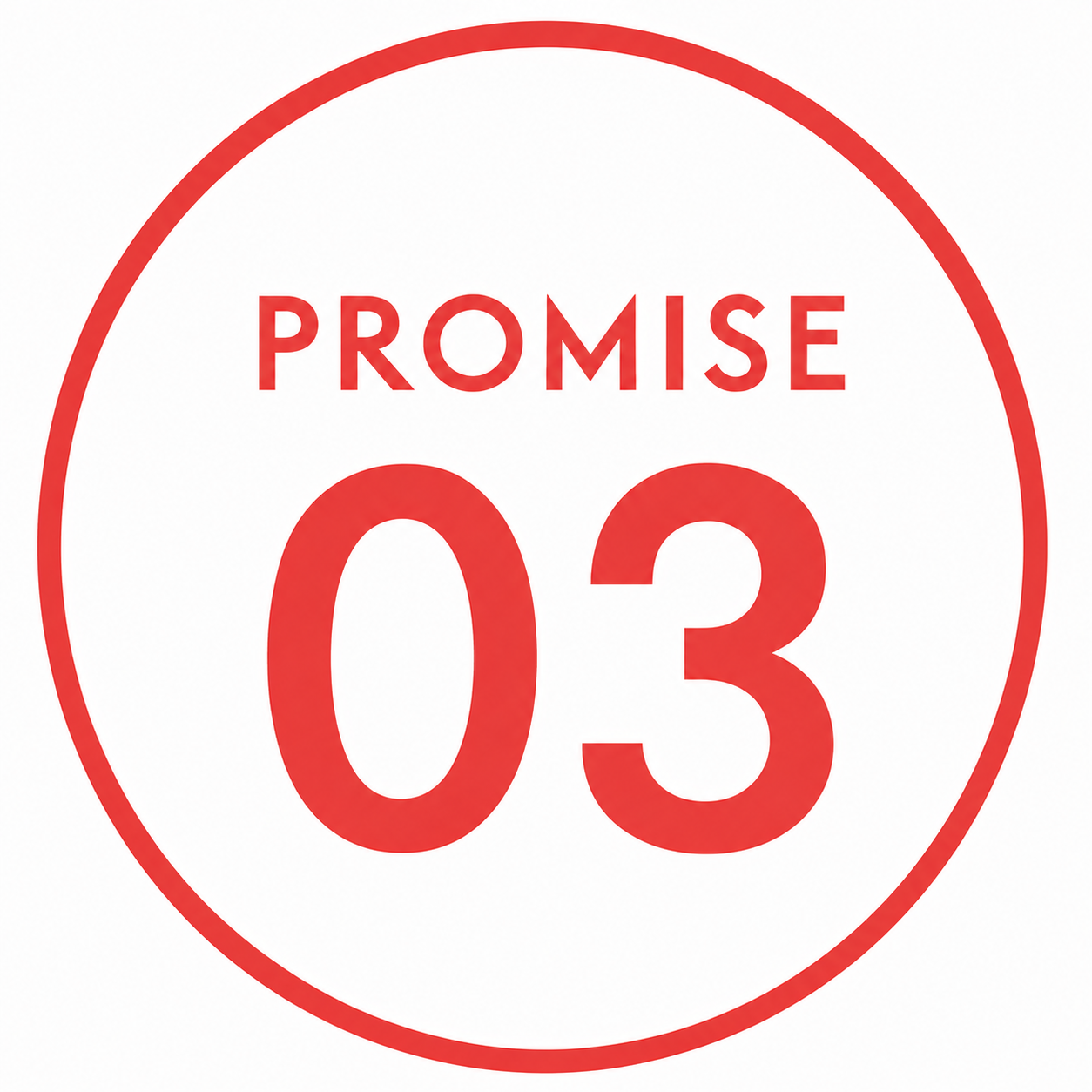 Promise03